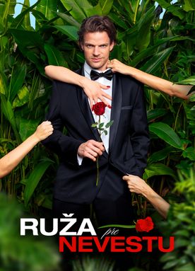 Ruža pre nevestu