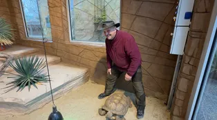 Čo sa stalo so zvieratkami po skončení Farmy? Máme skvelú správu