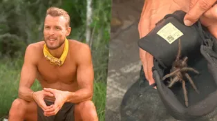 Matěj si našiel v teniske tarantulu: Neuveríte, čo s ňou urobil