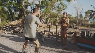 Len pre silné povahy. Aj o tomto je Survivor