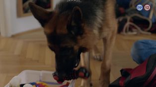 4. epizóda - Diagnóza vražda