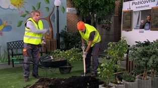 Nečakaný nález v parku