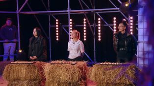 Farmári rozhodli! Niki ide do finále