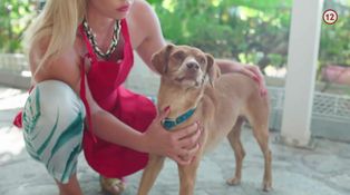 Dievčatá z Ruže majú nových kamarátov