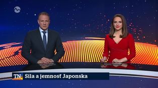 Sila a jemnosť Japonska