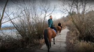 Markizák mal na mále: Takmer sa stal hitom internetu