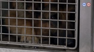 1. epizóda - Smrť s výhľadom