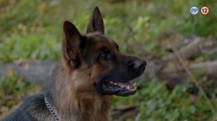 13. epizóda - Vražedná jeseň