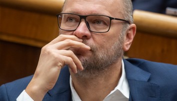 SaS kritizuje vládu. Pri nákupe lacnej elektriny zlyhali, vyhlásil Sulík