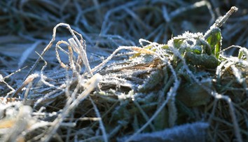 Čaká nás prvá vlna ochladenia. Na Slovensko sa vrátia mrazy