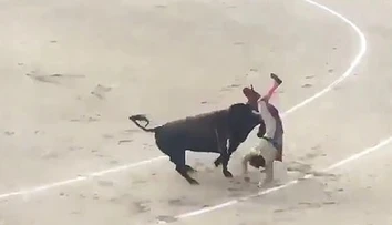 VIDEO: Dychberúci útok býka na matadora. Muž lietal vzduchom ako handra