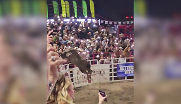 VIDEO: Zábava na rodeu sa mohla skončiť tragicky. Býk preskočil plot a namieril si to medzi ľudí