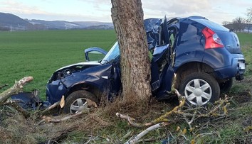 Tragický záver mesiaca pri Piešťanoch. Náraz do stromu neprežil 66-ročný muž