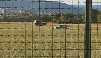 Ako na divokom západe: Muži na autách strieľali do diviakov kúsok od rodinných domov s deťmi