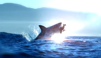 Najlepší olympionik sa pretekal so žralokom. Mala to byť dráma, no ľudia sú zmätení