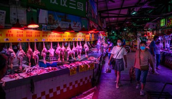 Vedci prišli s doteraz najsilnejším dôkazom o tom, že pandémiu koronavírusu spustilo zviera