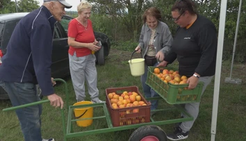 Domácej pálenky bude tento rok oveľa menej. Môže za to počasie