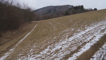 Rodinná prechádzka sa zmenila na drámu. Na manželov s deťmi zaútočil muž so sekerou
