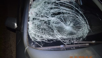 Mladík z južného Slovenska si išiel zabehať, teraz bojuje v nemocnici o život