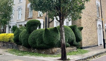 Architekt využíva svoje schopnosti netradičným spôsobom: Jeho kreativita v záhrade vás prekvapí