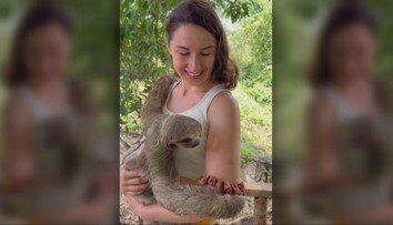 Kontakt s exotickými zvieratami je pre ľudí zábava, pre tvory však veľké utrpenie