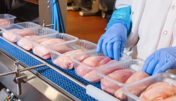 Jeden mŕtvy a stovka nakazených. Európe hrozí epidémia salmonelózy z poľskeho kuracieho mäsa