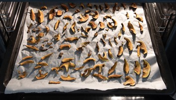 Pozrite si, ako sušiť huby v rúre tak, aby nesplesniveli a vydržali čo najdlhšie