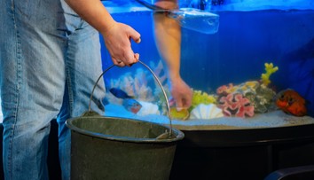 Mimoriadne nezvyčajná infekcia u ľudí. Muž sa nakazil rybou tuberkulózou, mohol za to bežný zlozvyk