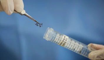 Vírus zika sa tento rok potvrdili na Slovenku u troch ľudí