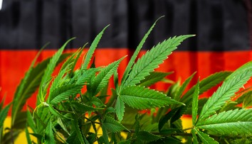 Nemecko od apríla zlegalizuje rekreačné užívanie marihuany