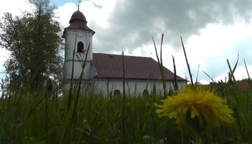 Agresívna huba napadla kostol. Išla na to od podlahy