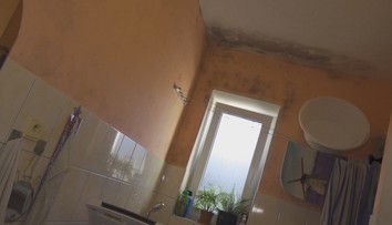 Prípravky proti plesni nepomáhajú, majú ju po celom byte už roky. Obec dáva rodine iba prázdne sľuby