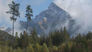 Čoskoro uplynie 20 rokov od ničivej kalamity vo Vysokých Tatrách. Ako to dnes vyzerá v Tichej doline?