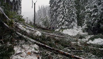Na strednom Slovensku je bez elektriny 15-tisíc domácností, na západnom len 800