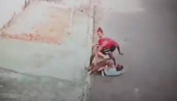 VIDEO: Agresívny pitbul napadol malé dieťa. Na pomoc mu pribehol mladý otecko