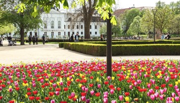 FOTO: Zrekonštruovaná Grasalkovičova záhrada čelila nájazdu vandalov. Vytrhali kvetiny a zničili lampu