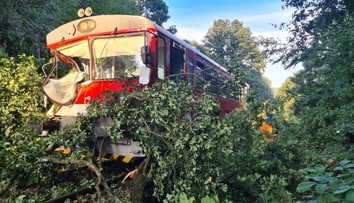 FOTO: Nešťastie na trati. Na vlak spadol počas jazdy strom a zranil rušňovodiča