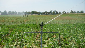 Situácia sa zhoršuje. Európa sa otepľuje najrýchlejšie zo všetkých kontinentov
