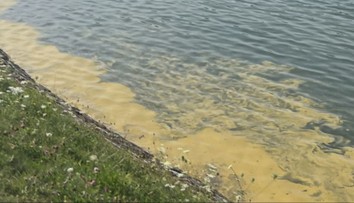 Kúpanie v tajchoch pri Banskej Štiavnici neodporúčajú. Viacerí sa však zdravotných rizík neboja