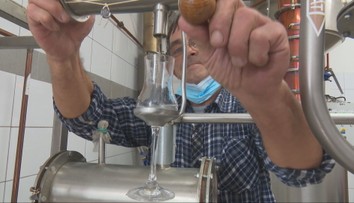 Pálenice nemajú čo páliť. Marhule vymrzli, ľudia tak nosia aj netradičné ovocie