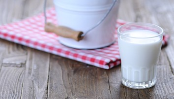 Kravské mlieko: Zistite, či je naozaj pre dospelých škodlivé alebo ide len o predsudok