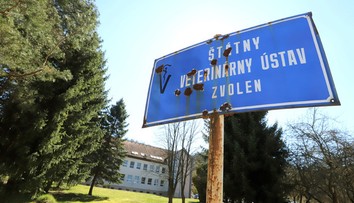 Do testovania na koronavírusu sa chcú zapojiť aj veterinári. Čakajú na rezort zdravotníctva