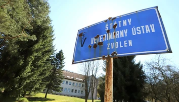 Do testovania na koronavírusu sa chcú zapojiť aj veterinári. Čakajú na rezort zdravotníctva