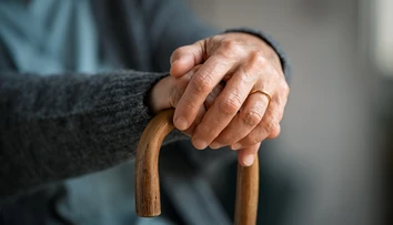 Starnutie nie je postupné a pomalé. Prichádza skokovo v dvoch vekových obdobiach, tvrdia vedci