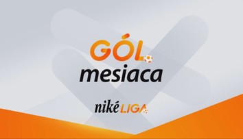 VIDEO: Gól mesiaca ako rozlúčka s Niké ligou? O cenu sa uchádza aj šibenica z ViOn-u