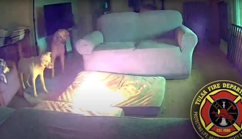 VIDEO: Hasiči ukázali, ako ľahko môže vzniknúť požiar, keď sa k lítiovej batérii dostane pes