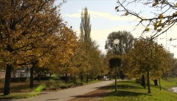 Čaká nás burčiak, farby a dobré jedlo. Oddnes máme oficiálne jeseň