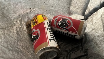 Nový zamestnanec múzea vyhodil exponát do koša. Myslel si, že sú to odpadky