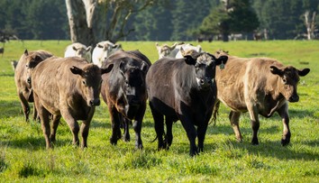 Raketový motor na biometán z kravského hnoja. Japonsko úspešne otestovalo prototyp