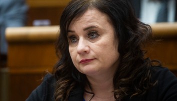 Do poslaneckého klubu OĽANO sa vracia Martina Brisudová. Verí, že je aj pre ľudí s liberálnejším zmýšľaním